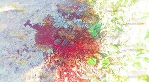 De dos balazos hieren a campesino de Zacate Colorado; está grave