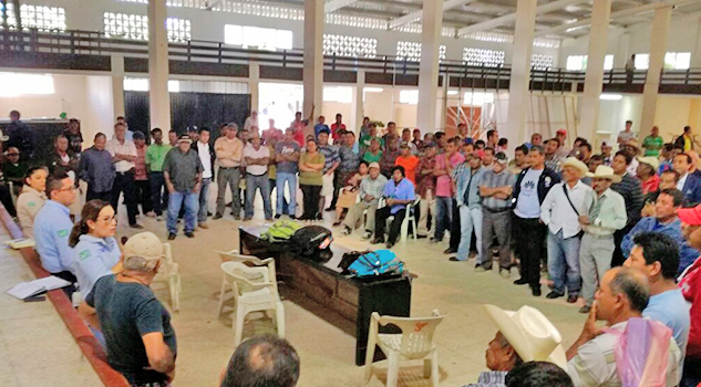 Temen que gasoducto Texas-Tuxpan impacte en la actividad pesquera