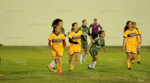 Final Barrios Femenil