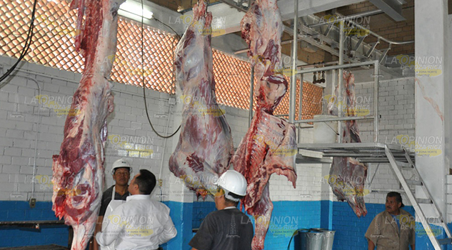 ¡Matanza a la alza! Matanza Alza