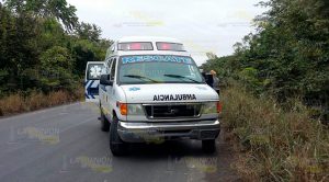 Muere niña de 3 años por mordida de un bull Terrier Muere Niña Mordida Bull Terrier