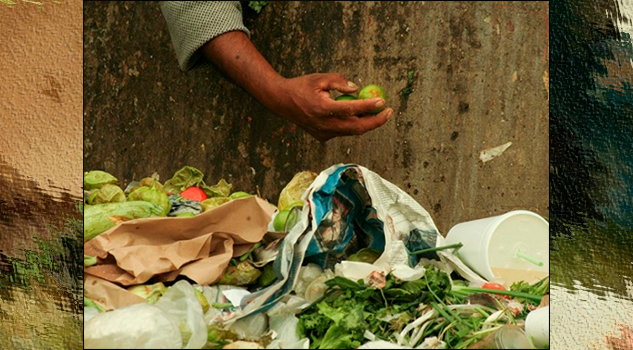 México ‘tira a la basura’ 491 mil mdp en alimentos cada año