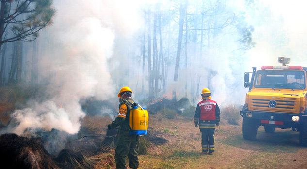 Reportan cuatro incendios en faldas del Pico de Orizaba Reportan Incendios Faldas Pico Orizaba