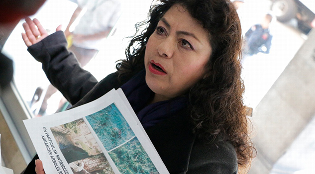 En riesgo la reserva ecológica de "Pancho Poza" Riesgo Reserva Ecológica Pancho Poza
