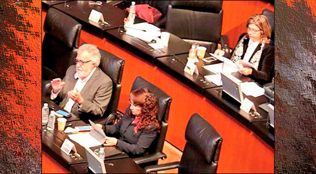 En el Senado pagan 7 mdp por 165 iPad