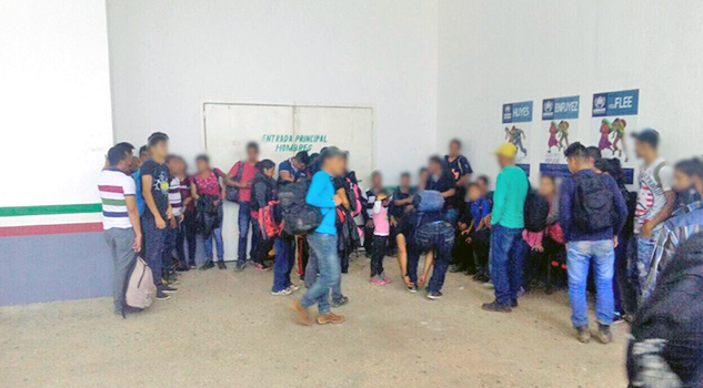 Aseguran a 64 indocumentados en el sur de Veracruz