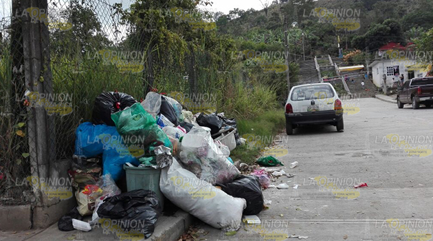 Montones de basura en céntricas calles