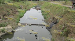 Derrame de chapopote contamina el río Papantepec