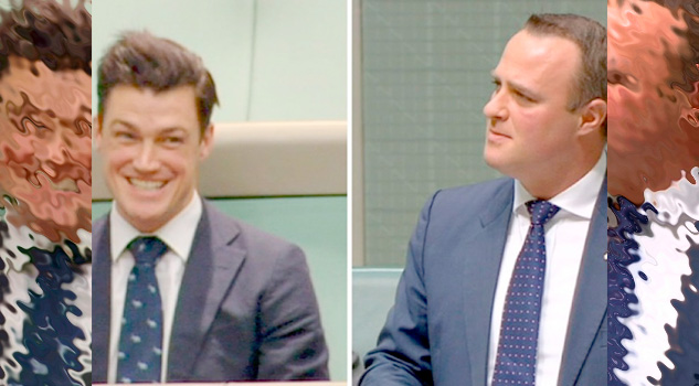 Diputado gay pide matrimonio en el Parlamento australiano