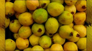 El aroma más esperado