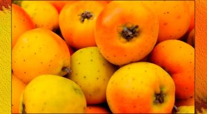 El aroma más esperado