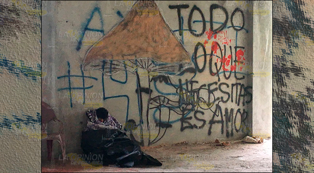 Necesita amor