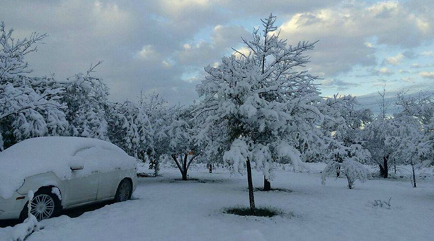 ¡No guardes el abrigo! Prevén una fría Navidad con temperaturas bajo cero en México