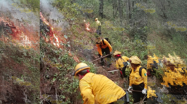 Se registraron 210 incendios en Veracruz durante el 2017