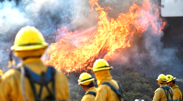 Un muerto, 500 casas destruidas y miles de evacuados, dejan incendios en California