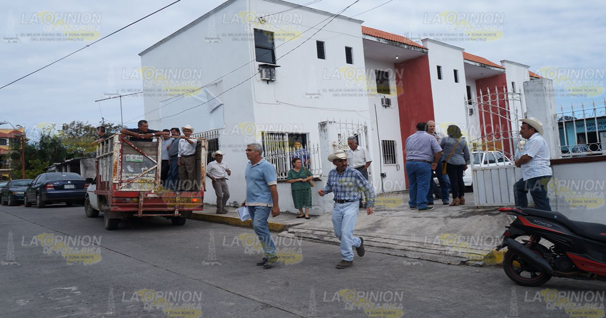 ¡Con las manos en las vacas!