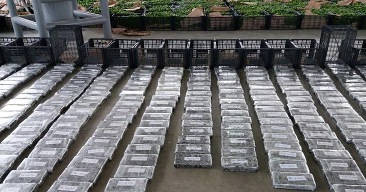 Entre limones ocultaban mas de 210 mdd en droga