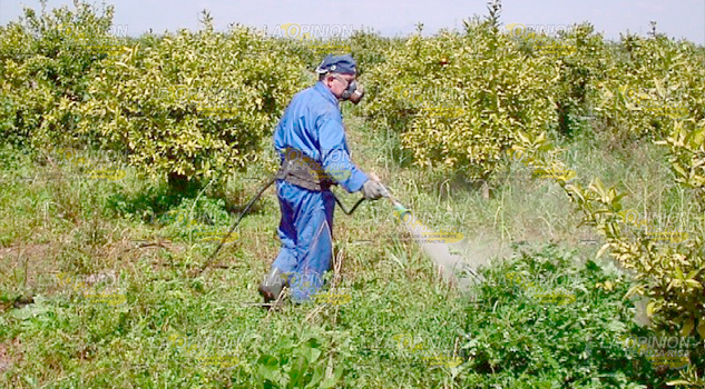 $9 millones para apoyos agrícolas