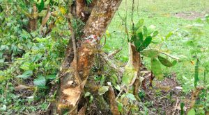 Encontronazo deja 2 lesionadas