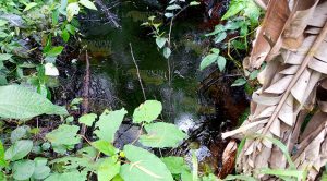 Fuga de hidrocarburo pone en riesgo pozos artesianos Fuga Hidrocarburo Riesgo Pozos Artesianos