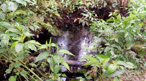 Fuga de hidrocarburo pone en riesgo pozos artesianos Fuga Hidrocarburo Riesgo Pozos Artesianos