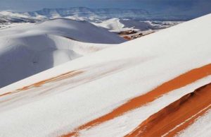 Habitantes del desierto del Sahara se divierten en la nieve Habitantes Desierto Sahara Divierten Nieve
