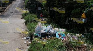 Harán dinero con la basura Harán Dinero Basura