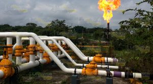 Incendio en pastizal cerca de instalaciones de Pemex Incendio Pastizal Instalaciones Pemex