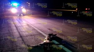 Indigente es atropellado y muere Indigente Atropellado Muere