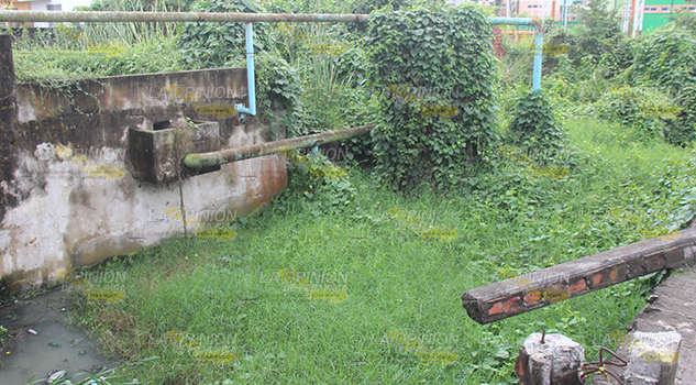 Inmundicia en planta tratadora Inmundancia Planta Tratadora