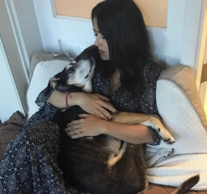Murió perrita que Salma Hayek rescató de las calles de CDMX