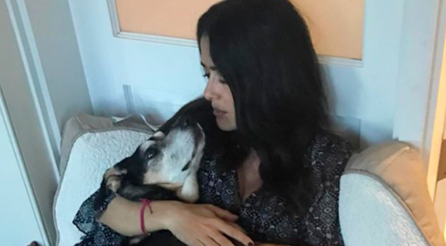 Murió perrita que Salma Hayek rescató de las calles de CDMX Murió Perrita Salma Hayek Rescató alles CDMX