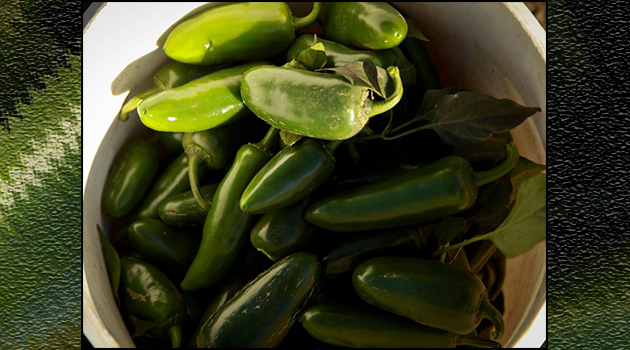 México va por denominación de origen para jalapeños y chipotles