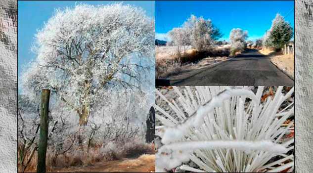 No es Rusia… sino Tlaxcala cubierta de hielo por masa de aire polar