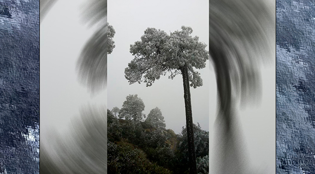 Frío deja blancos escenarios en Sierra Norte de Oaxaca