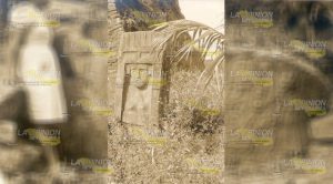 Ubican esculturas antiguas a través de redes sociales Ubican Esculturas Antiguas Redes Sociales