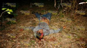 Volcadura sobre la carretera Hidalgo Amajac-Álamo Volcadura Carretera Hidalgo Amajac Álamo