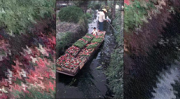 La agricultura en chinampas