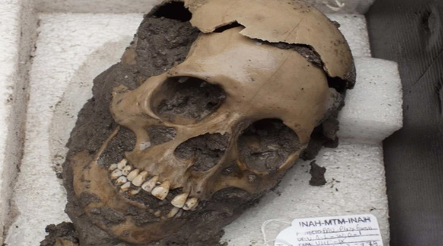 500 años después, descubren la causa de la epidemia que mató a millones de aztecas