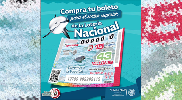 La vaquita marina, especie en peligro de extinción, es la imagen del boleto de la Lotería mexicana