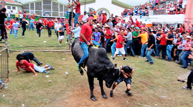 Habrá "registro" para entrar a la suelta de toros en Tlacotalpan: Sectur