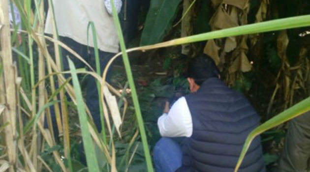 Encuentran 23 cuerpos en fosas clandestinas