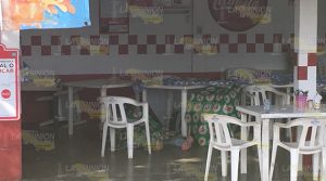 Acribillan a conocido ganadero de Tihuatlán