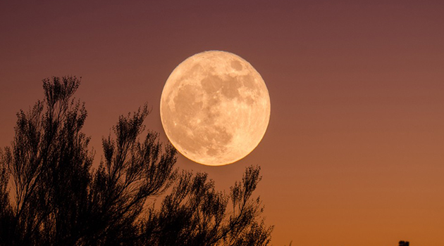 No te pierdas la superluna azul con eclipse este 31 de enero