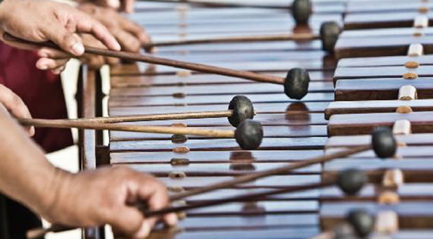 Marimba un símbolo cultural veracruzano