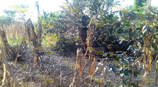 Fuga de hidrocarburo en Papantla