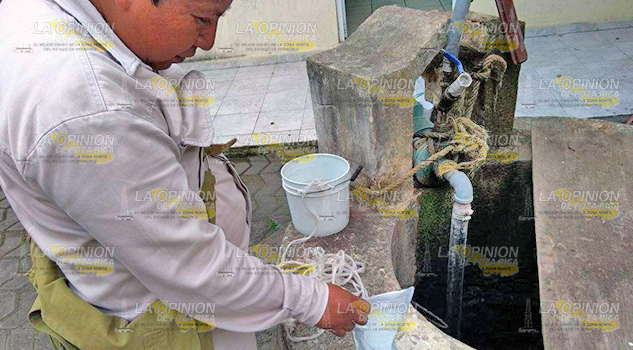 Destruyen las larvas del mosco