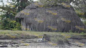 Viviendas huastecas que llevan al pasado