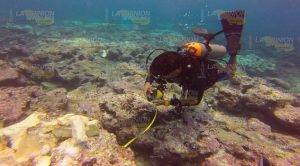 ¡Destrucción en arrecifes! Destrucción Arrecifes