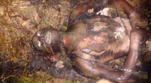 ¡EJECUTADO Y CALCINADO! Ejecutado Calcinado